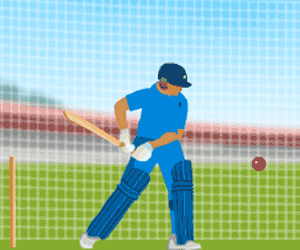 Spielen Practice Cricket Spiel