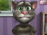 Spielen Talking Tom Cat 2 Spiel
