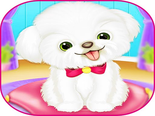 Spielen Pets Day Care Pro Spiel
