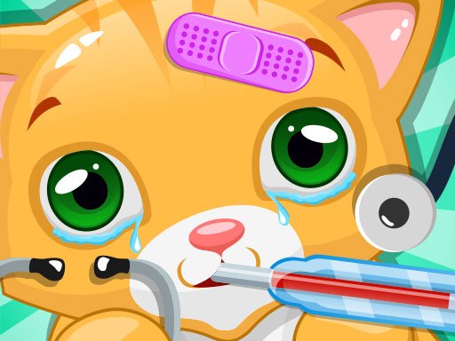 Spielen Little Cat Doctor Pet Vet Spiel