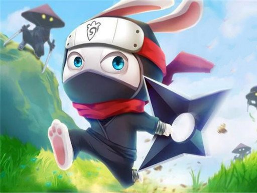 Spielen Ninja Rabbit Spiel