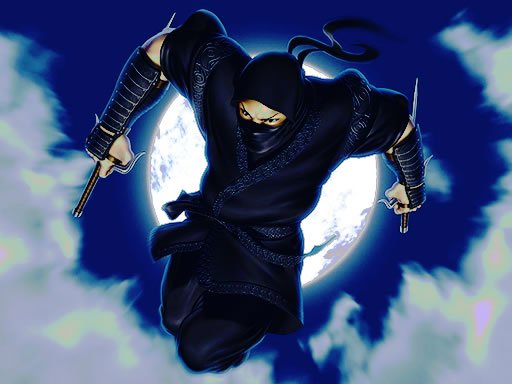 Spielen Ninja Defender Spiel
