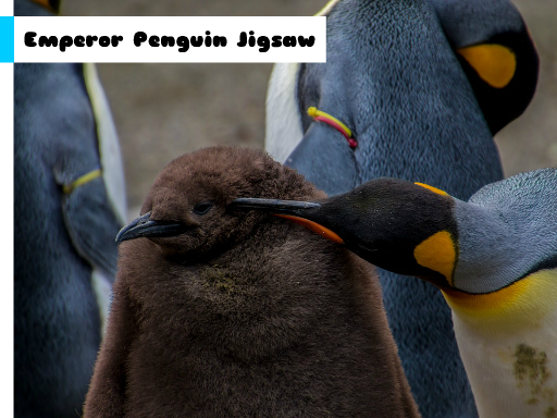 Spielen Emperor Penguin Jigsaw Spiel