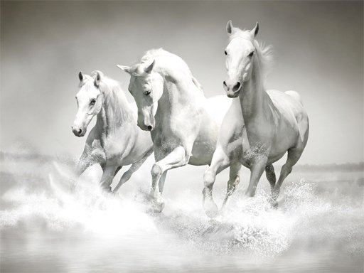 Spielen Horses Puzzle Spiel