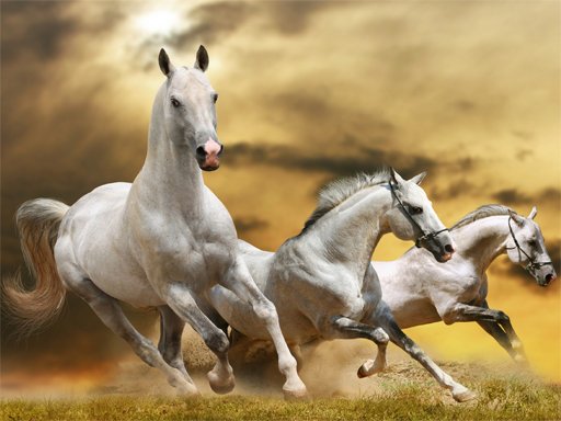 Spielen Running Horse Slide Spiel