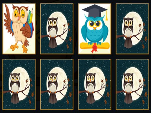 Spielen Cute Owl Memory Spiel