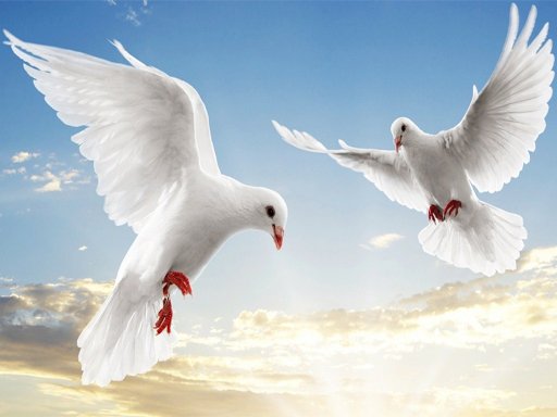 Spielen Flying Birds Slide Spiel