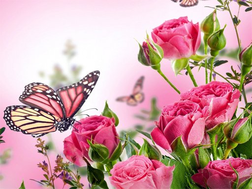 Spielen Butterflies Puzzle Spiel