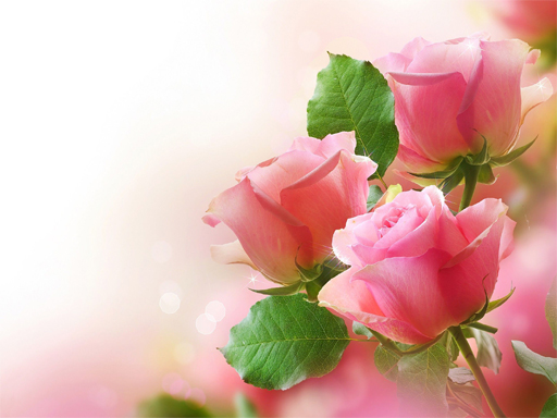 Spielen Pink Roses Puzzle Spiel