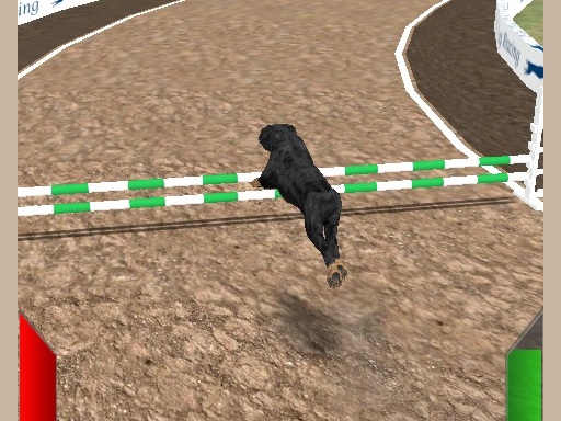 Spielen Crazy Real Dog Race Spiel