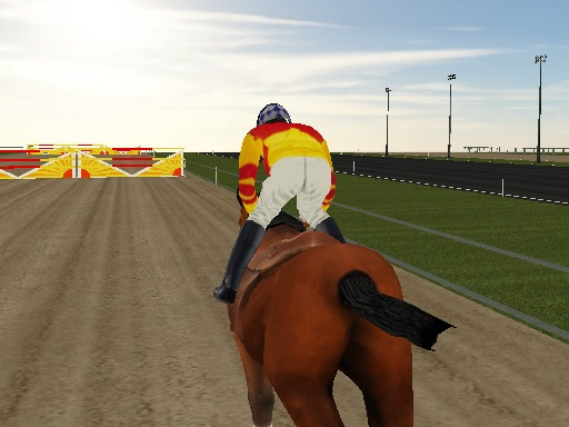 Spielen Horse Rider Spiel