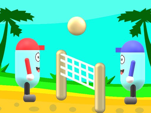 Spielen Beach Volleyball Spiel