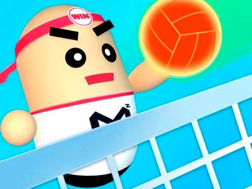 Spielen 3D Amazing VolleyBall Spiel