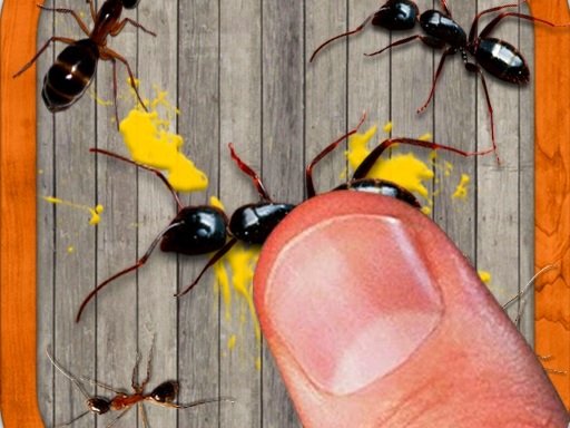 Spielen Smash The Insect Spiel