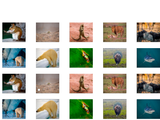 Spielen Animal Memory Spiel