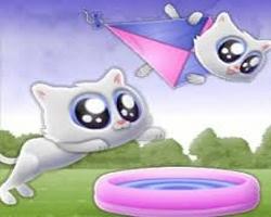 Spielen Extreme Kitten Spiel
