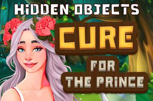 Spielen Hidden Objects Cure For The Prince Spiel