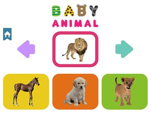 Spielen Baby Animal Spiel