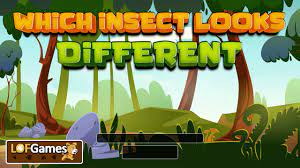 Spielen Which Insect Looks Different Spiel