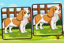 Spielen Dogs: Spot The Differences Spiel